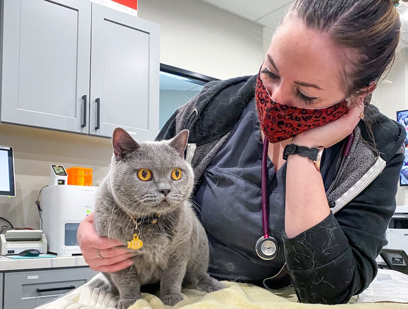 Pinnacle Veterinary Center Forms